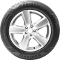 Preview: DAVANTI - DX740 - 245/65 R17 TL 111H XL BSW -  Sommerreifen