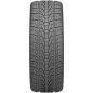 Preview: ROADSTONE - ROADIAN HP - 255/50R19 107V TL XL BSW -  Sommerreifen