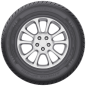 Preview: AUSTONE - ATHENA SP-801 XL - 195/65 R15 TL 95H XL BSW -  Sommerreifen