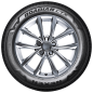 Preview: NEXEN - ROADIAN CTX - 215/65 R17 TL 108/105H M+S BSW 6PR -  Sommerreifen