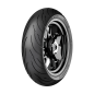 Preview: CONTINENTAL - CONTIMOTION EVO M/C - 120/70 ZR17 TL (58W) -  Sommerreifen