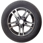 Preview: PREMIORRI - SOLAZO - 215/60 R16 TL 95V -  Sommerreifen