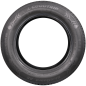 Preview: GOODTRIP - BLUEGUARD AS - 225/55 R19 TL 99W 3PMSF -  Ganzjahresreifen
