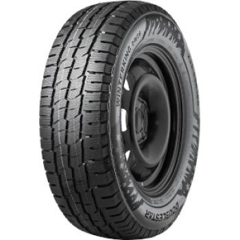 DOUBLESTAR - WINTERKING DW06 - 205/65 R16 TL 107/105R M+S 3PMSF BSW -  Winterreifen