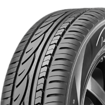 RADAR - RPX800 - 195/65 R15 TL 91H BSW -  Sommerreifen