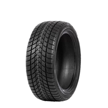 DELINTE - WINTER WD1 - 215/60 R16 TL 99H M+S 3PMSF XL BSW -  Winterreifen