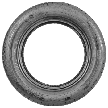 GOODYEAR - EFFICIENTGRIP PERFORMANCE - 205/55 R17 TL 91V -  Sommerreifen