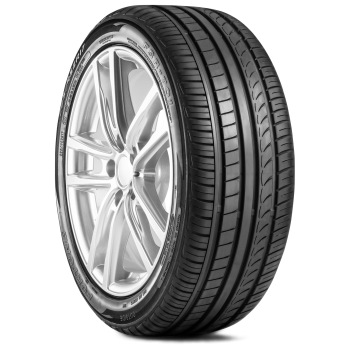 FORTUNE - BORA FSR-701 - 205/55 R17 TL 95W XL BSW -  Sommerreifen