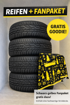 4x Winterreifen (1 Satz) 315/35 R21 111W NEU GRATIS BVB FANDECKE 
