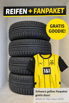 4x Ganzjahresreifen (1 Satz) 285/40 R22 110Y NEU GRATIS BVB TRIKOT 