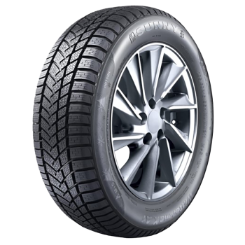 SUNNY - WINTERMAX NW211 - 225/40 R18 TL 92V M+S 3PMSF XL BSW -  Winterreifen