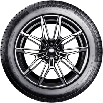 Preview: TRIANGLE - EFFEX WINTER TW421 XL - 275/35 R19 TL 100W 3PMSF XL -  Winterreifen