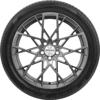 DELINTE - DS2 - 195/65 R15 TL 95V XL BSW -  Sommerreifen