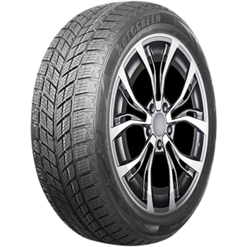 AUTOGREEN - SNOW RANGER AW09 - 215/55 R18 TL 95H 3PMSF BSW -  Winterreifen