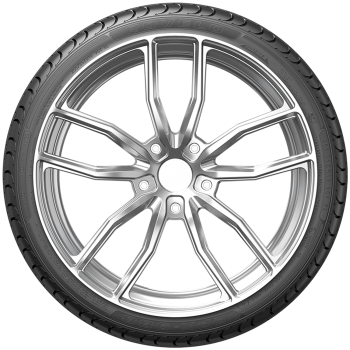 ROVELO - RPX-988 - 205/55 ZR16 TL 91W -  Sommerreifen