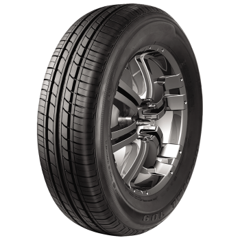 TRACMAX - RADIAL 109 - 165/70 R14 TL 89/87R -  Sommerreifen