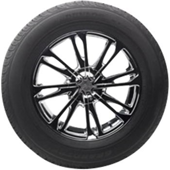 DUNLOP - GRANDTREK ST 30 - 225/60 R18 TL 100H -  Sommerreifen