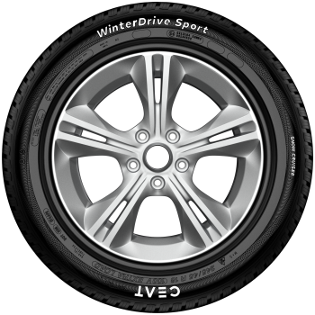 Preview: CEAT - WINTERDRIVE SPORT - 245/45 R18 TL 100V 3PMSF XL BSW -  Winterreifen