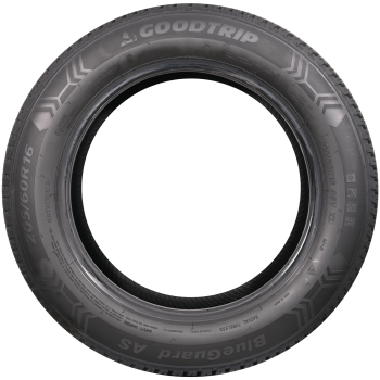 Preview: GOODTRIP - BLUEGUARD AS - 225/55 R19 TL 99W 3PMSF -  Ganzjahresreifen