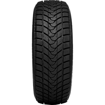 Preview: DELINTE - WINTER WD1 - 205/60 R16 TL 96H M+S 3PMSF XL BSW -  Winterreifen