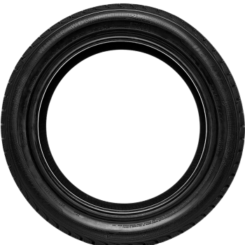 Preview: DELINTE - WINTER WD6 - 175/65 R15 TL 84T M+S 3PMSF BSW -  Winterreifen