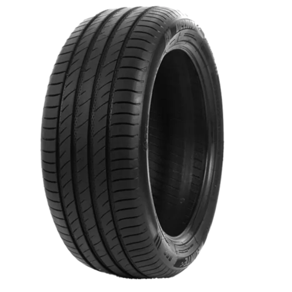 DELINTE - DS2 - 195/65 R15 TL 95V XL BSW -  Sommerreifen