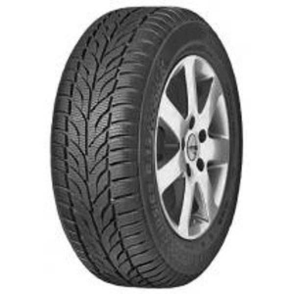 PAXARO - PAXARO WINTER - 225/45 R17 TL 91H M+S 3PMSF FR -  Winterreifen