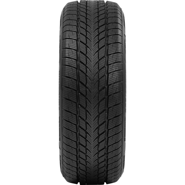 DAVANTI - WINTOURA - 195/65 R15 TL 91T * RFT M+S 3PMSF BSW -  Winterreifen