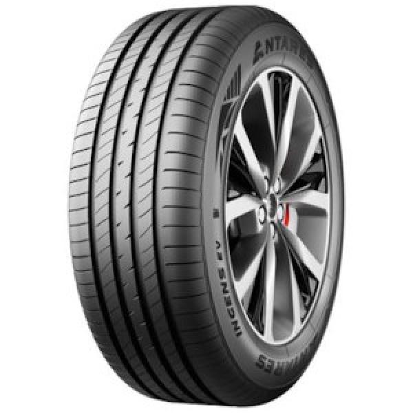 ANTARES - INGENS EV - 215/50 R17 TL 95V * RFT BSW -  Sommerreifen