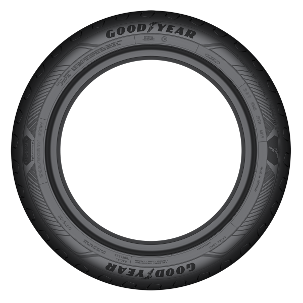 GOODYEAR - EFFICIENTGRIP PERFORMANCE 2 - 205/50 R17 TL 93W XL -  Sommerreifen