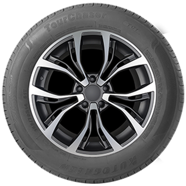 AUTOGREEN - TOURCHASER-TC1 - 165/65 R14 TL 83T XL BSW -  Sommerreifen