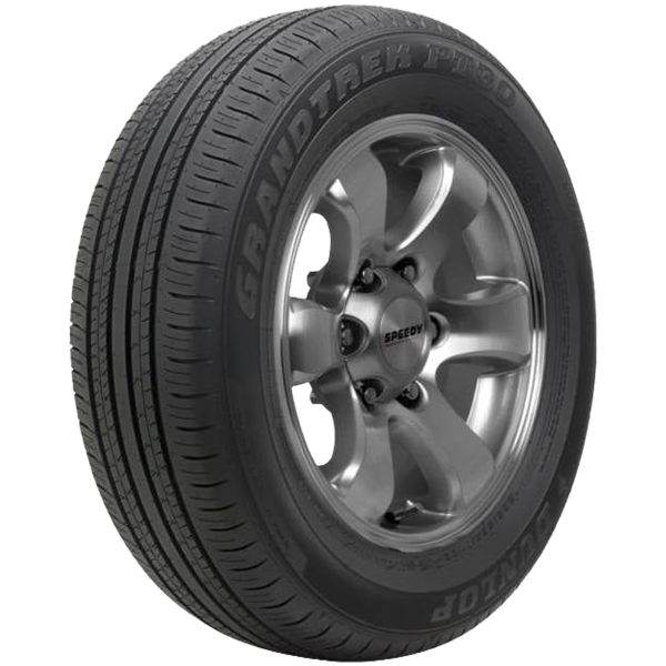 DUNLOP - GRANDTREK PT 30 - 225/60 R18 TL 100H -  Sommerreifen