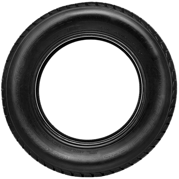 MASTERSTEEL - WINTERPLUS 1 IS-W - 205/55 R16 TL 91H 3PMSF -  Winterreifen