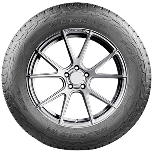 ANTARES - MAJORIS R1 - 265/65 R18 TL 114H -  Sommerreifen