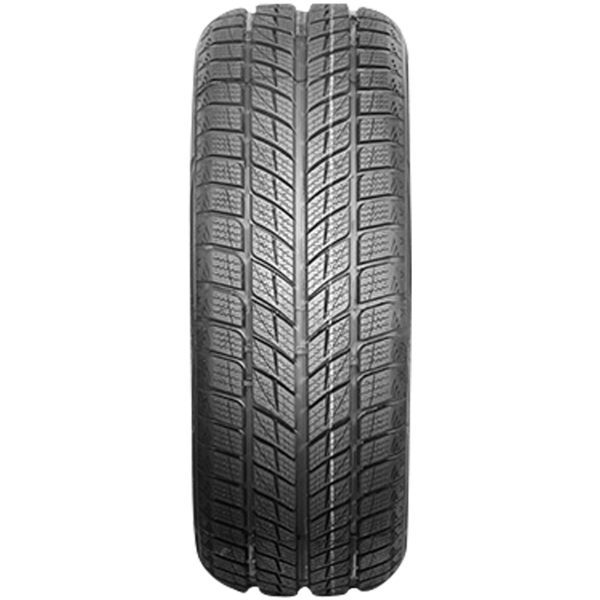 AUTOGREEN - SNOW RANGER AW09 - 215/55 R18 TL 95H 3PMSF BSW -  Winterreifen