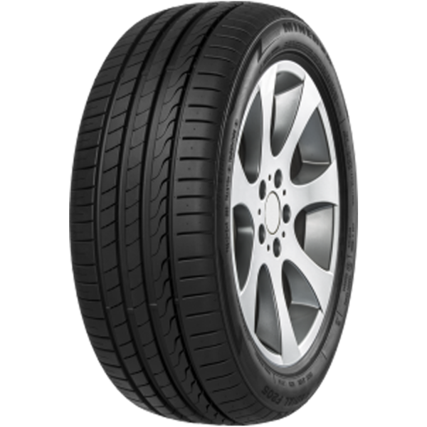 MINERVA - RADIAL F205 - 225/55 ZR17 TL 101W XL -  Sommerreifen