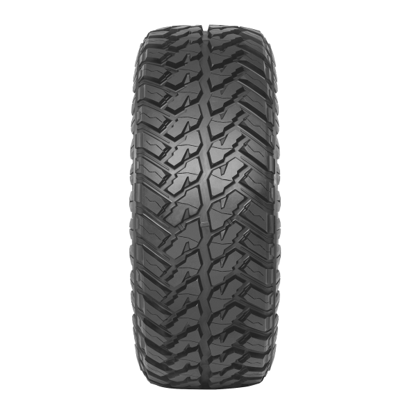 ARIVO - LION BACK N39 M/T - 31/10.5 R15 TL 109Q M+S BSW 8PR P.O.R -  Sommerreifen