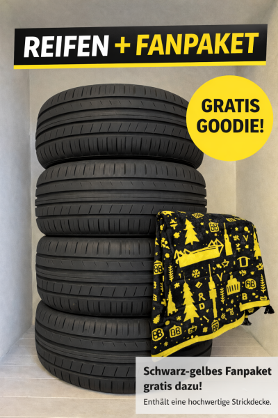 4x Sommerreifen (1 Satz) 295/30 R21 102Y NEU GRATIS BVB FANDECKE 