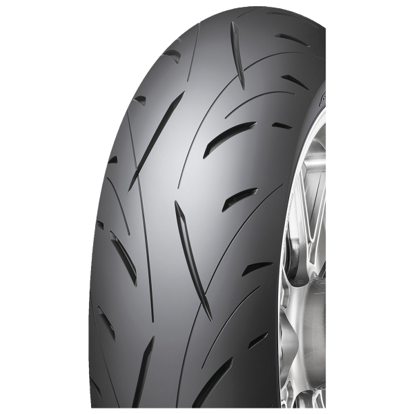 DUNLOP - SPORTMAX ROADSPORT 2 - 190/50 ZR17 TL 73(W) REAR -  Sommerreifen