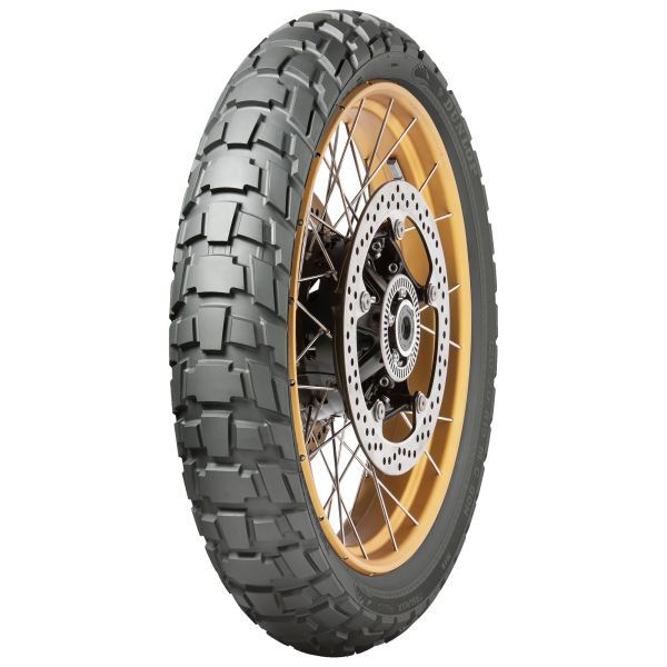 DUNLOP - TRAILMAX RAID - 120/70 R19 TL 60T M+S BSW -  Sommerreifen