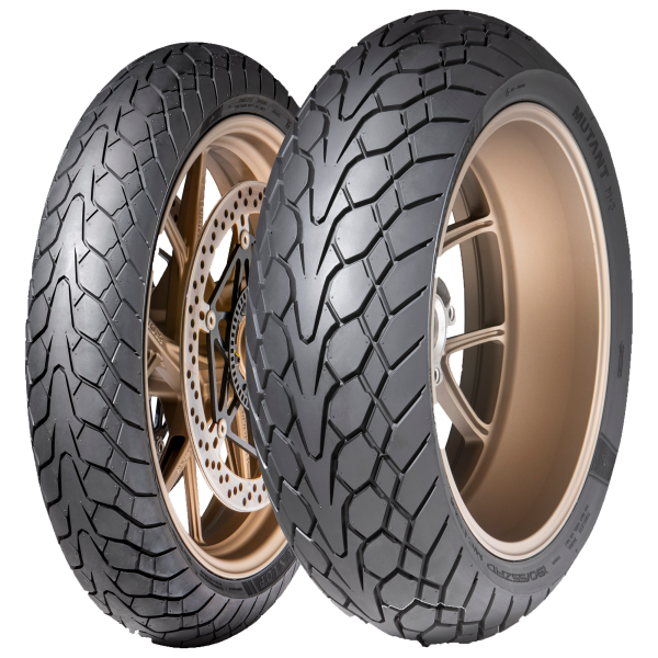 DUNLOP - MUTANT - 180/55 ZR17 TL 73(W) M+S REAR -  Sommerreifen