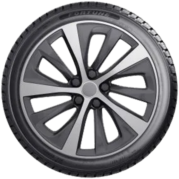 FORTUNE - FITCLIME FSR-401 XL - 225/65 R17 TL 106V 3PMSF XL -  Ganzjahresreifen