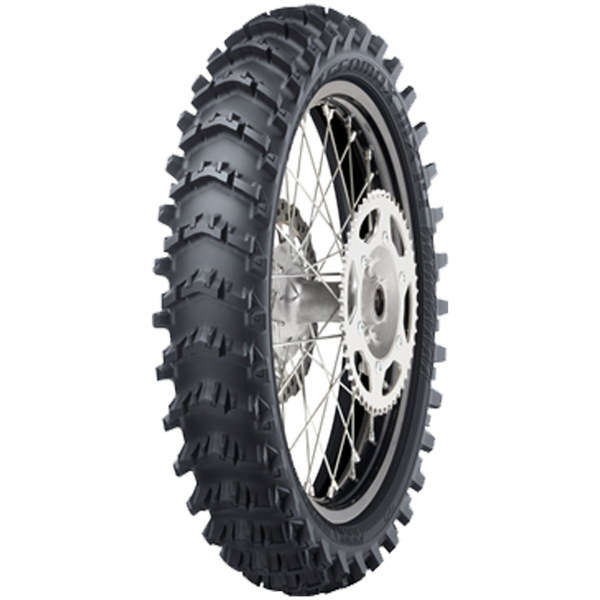 DUNLOP - GEOMAX MX14 - 70/100 -10 TT 41J TT REAR -  Sommerreifen