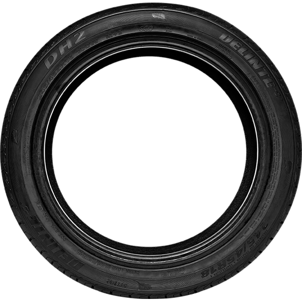 DELINTE - DH2 - 205/55 R16 TL 91V -  Sommerreifen