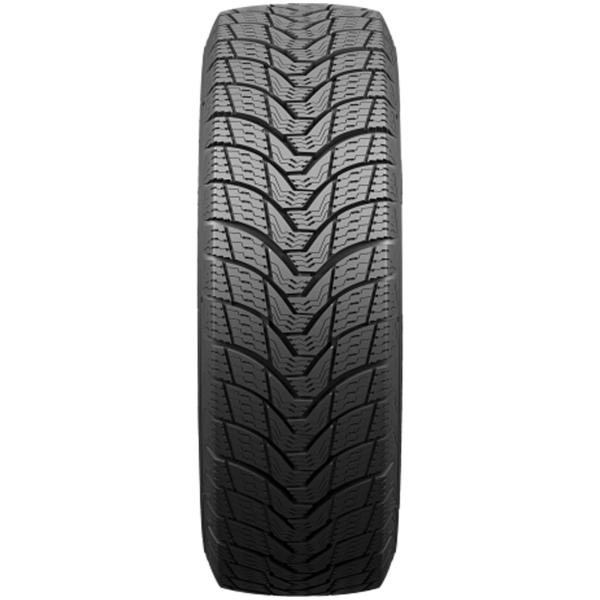 PREMIORRI - VIAMAGGIORE - 185/65 R14 TL 86T 3PMSF -  Winterreifen
