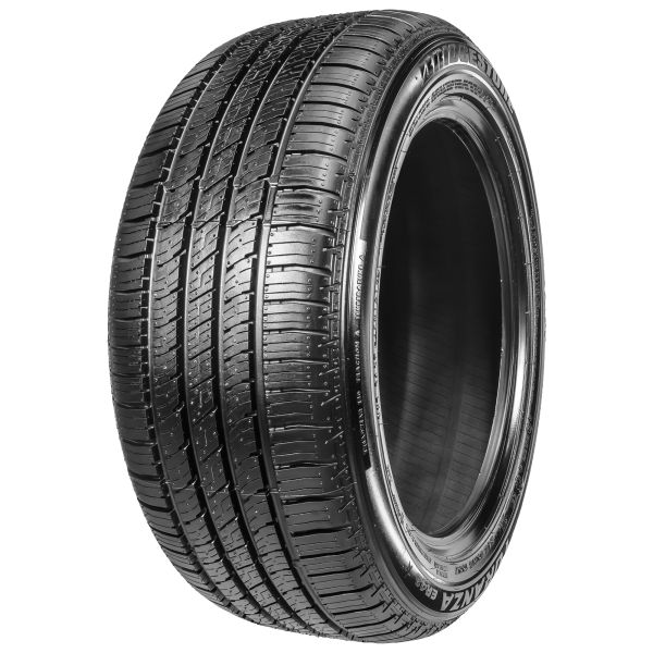 BRIDGESTONE - TURANZA ER42 - 245/50 R18 TL 100W RFT -  Sommerreifen