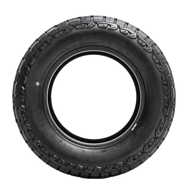 LANVIGATOR - LAND WARRIOR-R/T - 225/65 R17 TL 107/103Q BSW 10PR P.O.R -  Sommerreifen