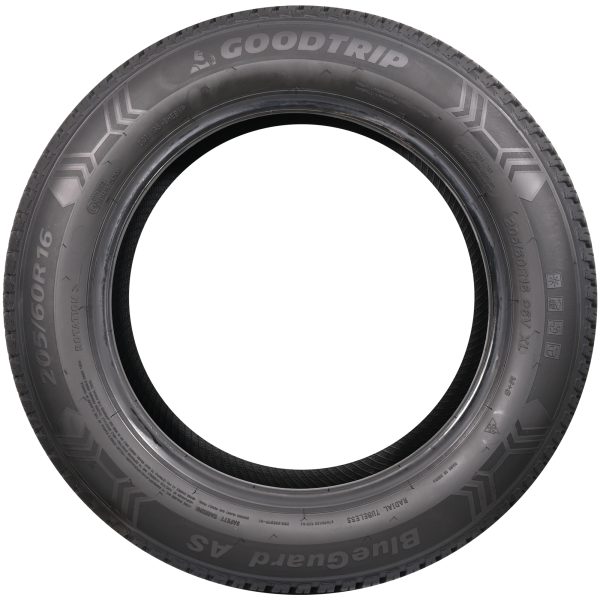 GOODTRIP - BLUEGUARD AS - 225/55 R19 TL 99W 3PMSF -  Ganzjahresreifen