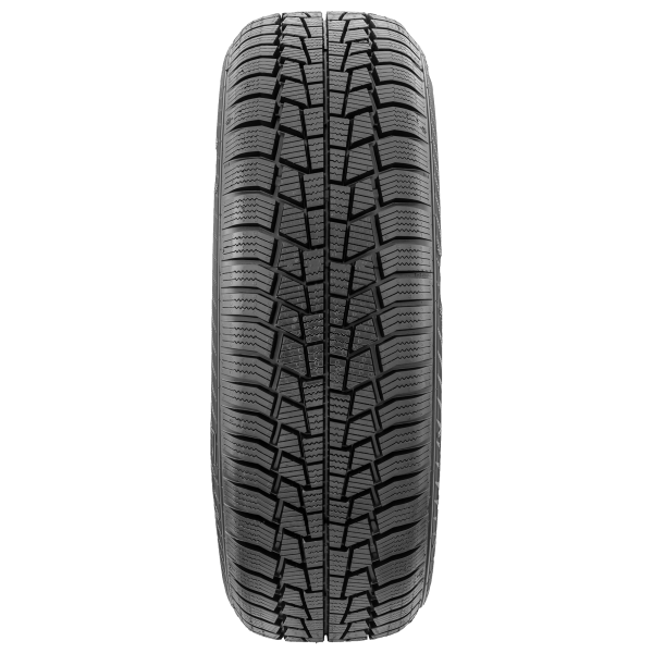 GISLAVED - EURO*FROST 6 - 245/45 R18 TL 100V 3PMSF -  Winterreifen