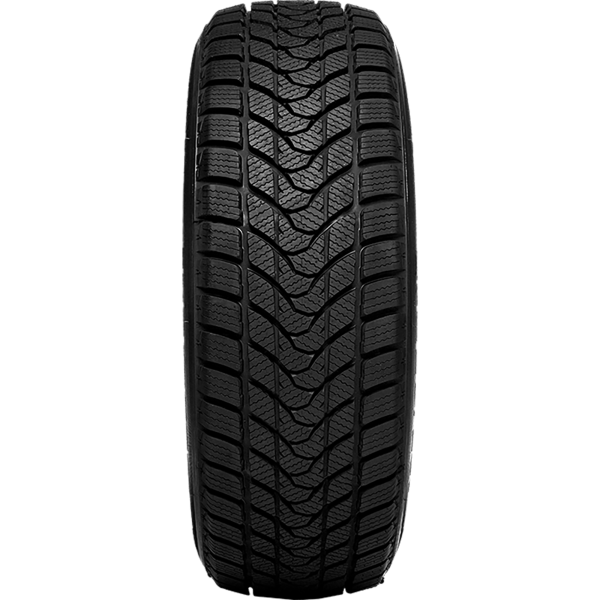 DELINTE - WINTER WD1 - 165/70 R14 TL 81T M+S 3PMSF -  Winterreifen